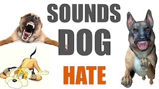 5 Sounds Dogs Hate All Time  HQ [upl. by Eugirne852]