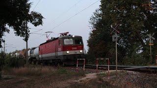 ÖBB Kurzgüterzug auf der Laaer Ostbahn bei der Ladendorfer Lindenallee  TEIL 3 [upl. by Domenico194]