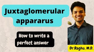 Juxtaglomerular apparatus  Tubuloglomerular feedback  mbbs physiology [upl. by Kramal]