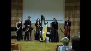 Carl Ditters von Dittersdorf  Harp concerto in A major [upl. by Ardisi]