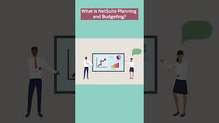 NetSuite Planning and Budgeting Explained [upl. by Napoleon]