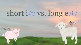 Short i vs long e pronunciation of the English vowels ɪ vs iː [upl. by Imojean931]