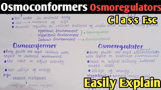 Osmoregulation In Animals  Osmoconformers And Osmoregulators  Class 12 [upl. by Nnednarb712]