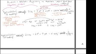 Respiratory versus Metabolic Acidosis and Alkalosis [upl. by Austina]