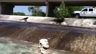 Nueces River at State Highway 55 [upl. by Firestone857]