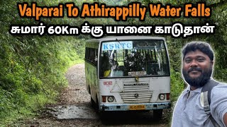 இப்படி ஒரு காட்டுக்குள்ள Bus ஆ‼️ Valparai To Athirappilly WaterFalls Bus Travel Full Detail ksrtc [upl. by Chace]