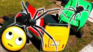 Trash Bins Spider Removal 20 Fix amp Redback Spider Tank EDUCATIONAL VIDEO [upl. by Ardnassak]