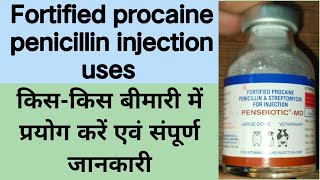 Fortified procaine penicillin injection uses in veterinary medicine । पेनिसिलिन इंजेक्शन का उपयोग ।। [upl. by Amik]