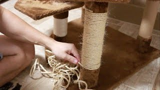 How To Make Easy Cat Scratching Post With PVC Pipes Rope And Hot Glue [upl. by Hindorff]