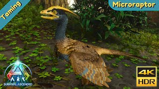 ARK Survival Ascended  Tame a Microraptor [upl. by Edorej913]