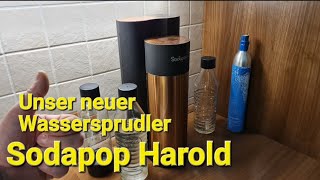 Sodapop Harold  unser neuer Wassersprudler [upl. by Atronna]