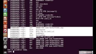 SecurityTubenet Writing an Custom Insertion Encoder [upl. by Adlesirk]