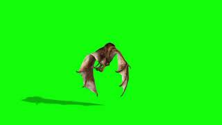 green screen Bat new video Bat attack animatiom free 4k [upl. by Draned]