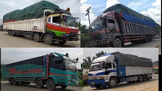 TRUK SUMATERA LONG SASIS  TRIBAL TRINTONTRONTONBELILASRIAU [upl. by Kyne]