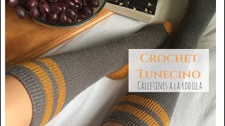 Calcetines a la rodilla Crochet Tunecino [upl. by Eidoj]