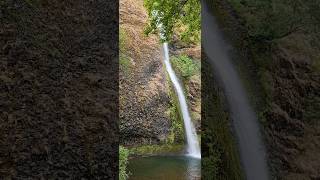 Horsetail Falls nemo eurovision2024 thecode hiking travel [upl. by Ttemme]