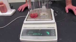 Video Demonstration Observing Chemical Reactions [upl. by Arretahs]