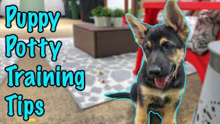 How to Potty Train a German Shepherd Puppy [upl. by Bernhard]