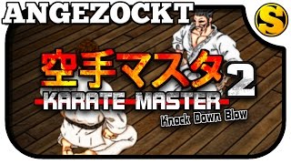 Angezockt KARATE MASTER 2 KNOCK DOWN BLOW [upl. by Ynnavoeg]