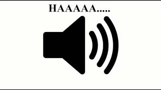 Kamehamehaaaa  meme sound effects HD [upl. by Germaine]