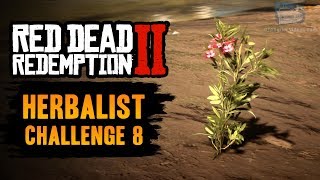 Red Dead Redemption 2 Herbalist Challenge 8 Guide  Use Oleander to craft 6 poison weapons [upl. by Kreg]