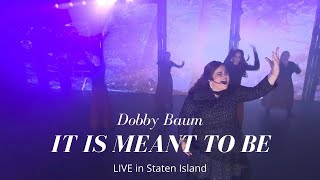 Dobby Baum quotIt is meant to bequot LIVE in Staten Island NY Original song [upl. by Ilona]