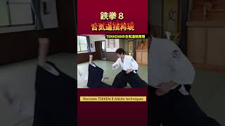 Perfect recreation of “TEKKEN8” Aikido technique [upl. by Eiramlatsyrc]