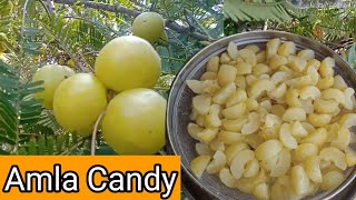 Amla Candy Recipe  How to make Amla Candi [upl. by Amekahs]