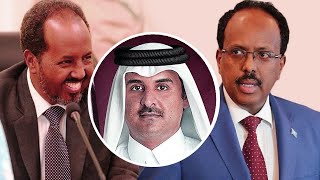 Wararkii ugu Danbeeyey Xasan Sheekh oo Kubiiray Xulafada Farmaajo amp Xogta Dalka Qatar [upl. by Novert846]