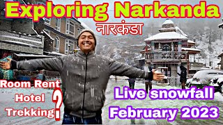 Exploring Narkanda deepali5558  February 2023 Live Snowfall in Narkanda  Legends on Road [upl. by Ira595]