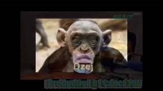 Zašto praviš majmuna od mene  REMIX Monkey version 2011 [upl. by Atihana87]