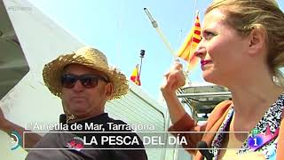 España Directo visita lAmetlla de Mar [upl. by Adriena682]