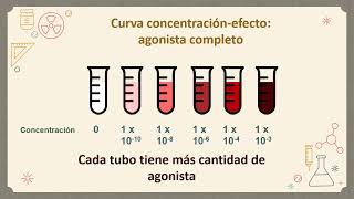 4Explicación gráfica curvas farmacocinéticas y farmacodinámicas Dra Guelman [upl. by Anidualc]