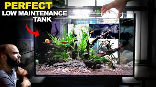 ALL IN ONE Peninsula Kit Aquarium Easy amp Stunning Setup [upl. by Adnert]