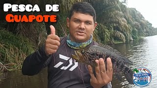 Pesca de Guapote con Carnada Barra del Colorado 🎣🔥 [upl. by Bogie]