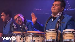 Los Ángeles Azules  Cumbia Coqueta Live [upl. by Daney630]