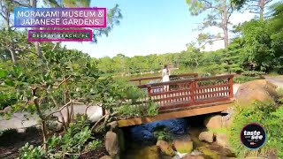 Explore Floridas Best Japanese Garden  Taste and See Tampa Bay [upl. by Charmain826]