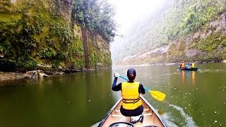 Whanganui River Journey Great Walk 6 of 9  Living a Kiwi Life  Ep 28 [upl. by Ettolrahs]