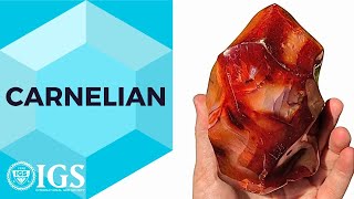 Unlock the Secrets of Carnelian The Fiery Gemstone You NEED to Know About 🔥💎 ViralGems [upl. by Rodman567]