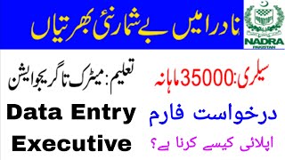 How To Apply In NADRA Jobs 2023  Application Form For Data Entry Executive Nadra Jobs 2023 [upl. by Anirrok]