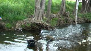 Gold prospecting Nundle [upl. by Anitap374]