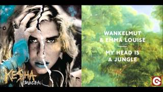 Mashup  Cannibal vs My Head Is A Jungle [upl. by Kylander]