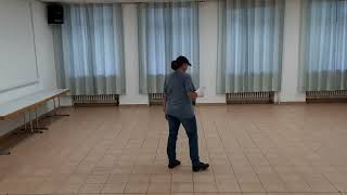 Amame Lernvideo Teach amp Dance Line Dance Biene Teil 1 [upl. by Arbmik]