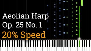 Chopin  Etude Op 25 No 1 Aeolian Harp Slow Piano Tutorial 20 Speed [upl. by Oiram]