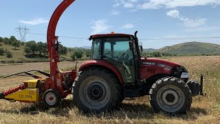 ÇELMAK 3 SIRA SİLAJ MAKİNESİ  CASE 115 C FARMALL TRİTİKALE SİLAJI [upl. by Budd942]