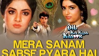 Mera Sanam Sabse Pyara Hai  Video Song  Dil Ka Kya Kasoor  Divya Bharti amp Prithvi [upl. by Allrud]