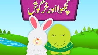 Kachwa Aur Khargosh Urdu Story  کچھوا اور خرگوش اردو کہانی [upl. by Zoa]