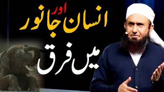 Insan or Janwar ma fark Molana Tariq Jameel emotional byan Zindagi badal dana wala byan [upl. by Thebazile983]