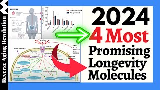 2024  4 MOST Promising Longevity Molecules You NEED To KNOW [upl. by Eelsha]