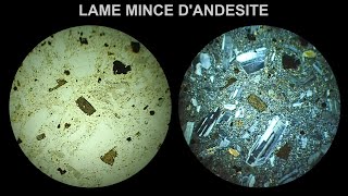 Lame mince dandésite observée au microscope polarisant en LPnA vs LPA x 40 [upl. by Rehpotsihc]